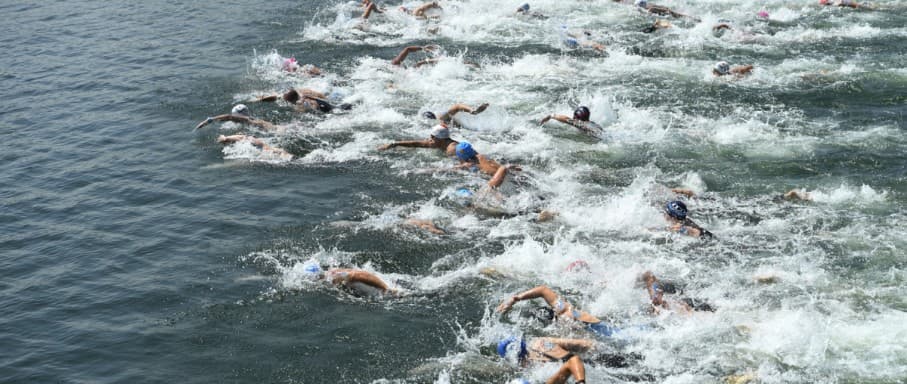 Défi du dauphin — Eau libre