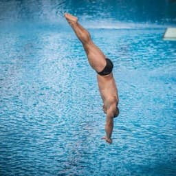 Champ d'été LIFN 3m et haut vol — Plongeon