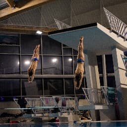 Champ d'été LIFN 1m — Plongeon