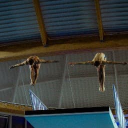 Médaille de la LIFN 1m — Plongeon