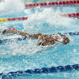 Championnats d'Europe — Natation course