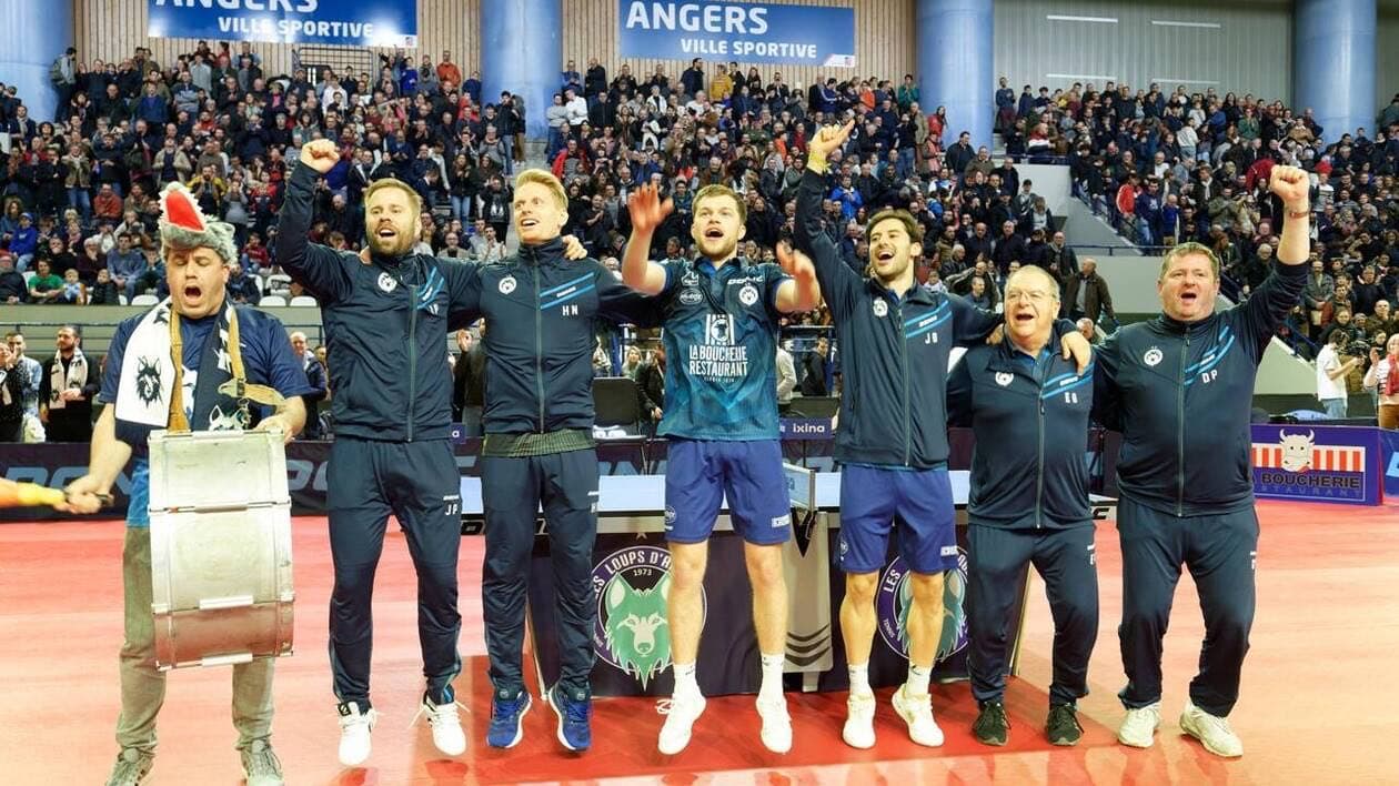 Loups Angers