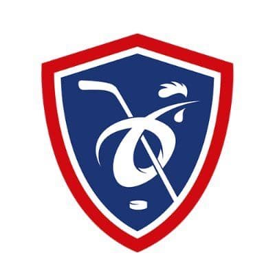 Équipe de France de Hockey