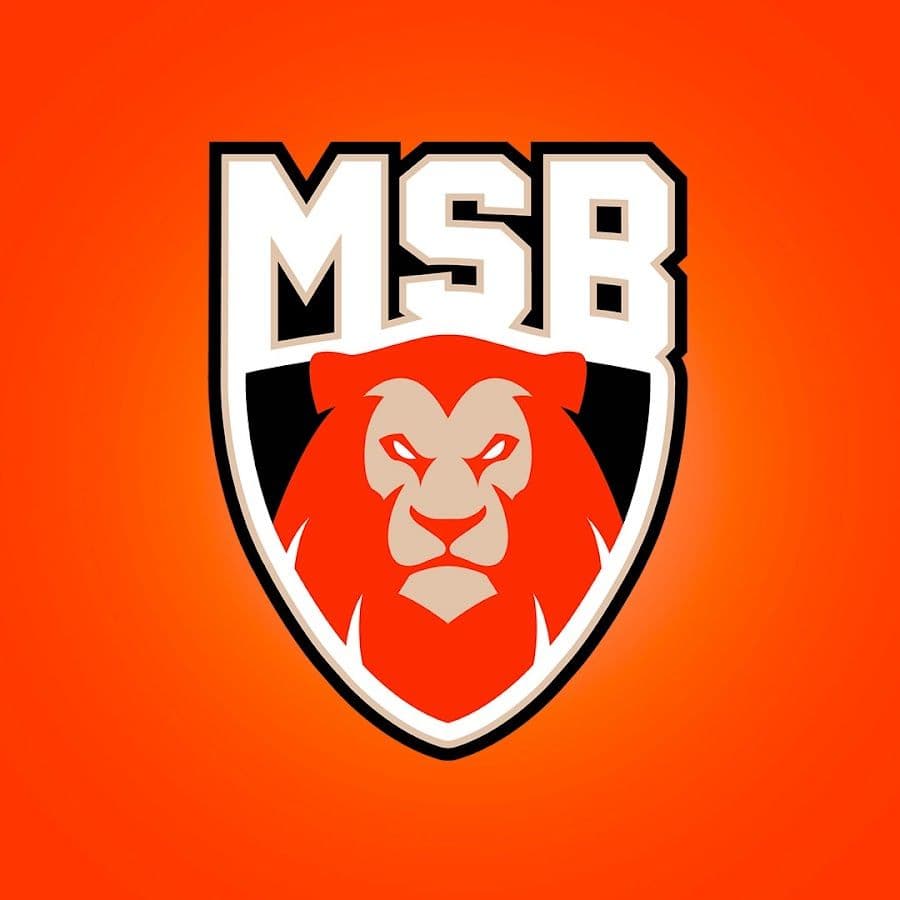 Le Mans Sarthe Basket
