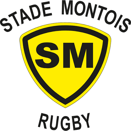 Stade Montois