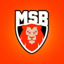 Le Mans Sarthe Basket