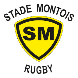 Stade Montois