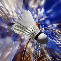 Badminton Top12 Poule 2 J1 — Bad'Club de Rostrenen vs Vga Stella Saint Maur