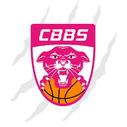 Charnay Basket